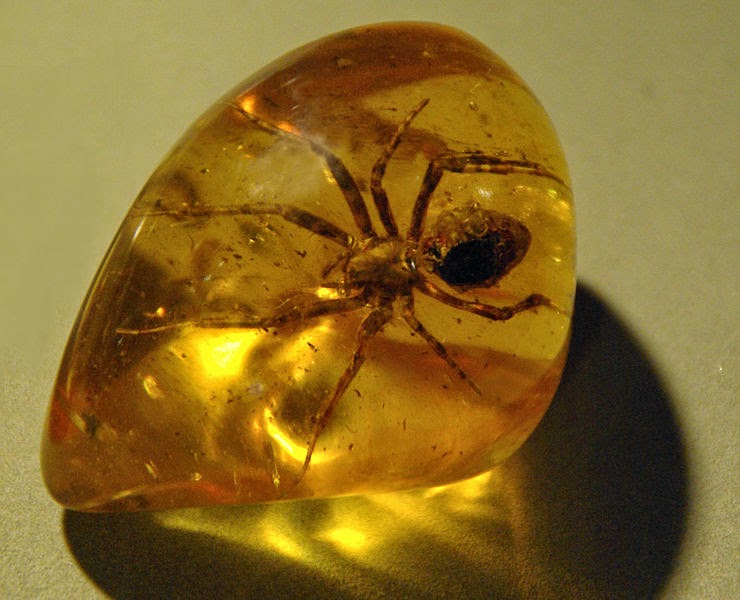 Amber Color: What Are the Different Colors of Amber – Geology In Amber Color: What Are the Different Colors of Amber – Geology In