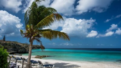 Free photo: Beach, Palm Tree, Palm, Tropical - Free Image on Pixabay ...