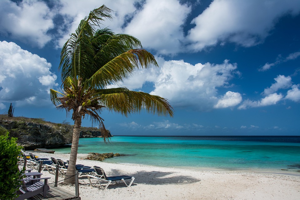 Free photo: Beach, Palm Tree, Palm, Tropical - Free Image on Pixabay ... Free photo: Beach, Palm Tree, Palm, Tropical - Free Image on Pixabay ...