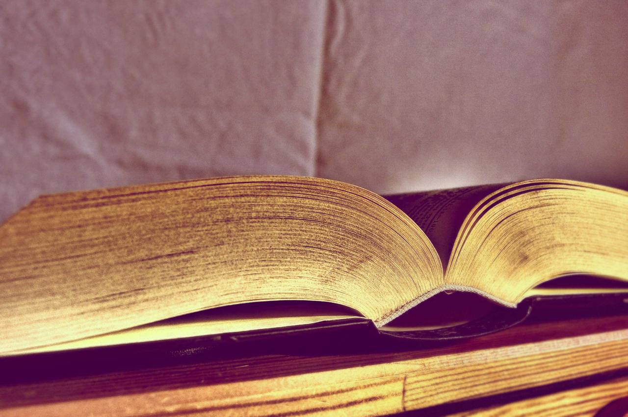 Free Image: Open book | Libreshot Free Stock Photos Free Image: Open book | Libreshot Free Stock Photos