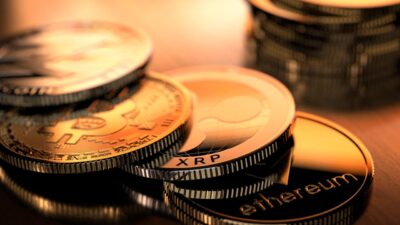 Which Crypto Wallet Has The Lowest Fees And Why It Matters