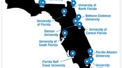 Florida sports book