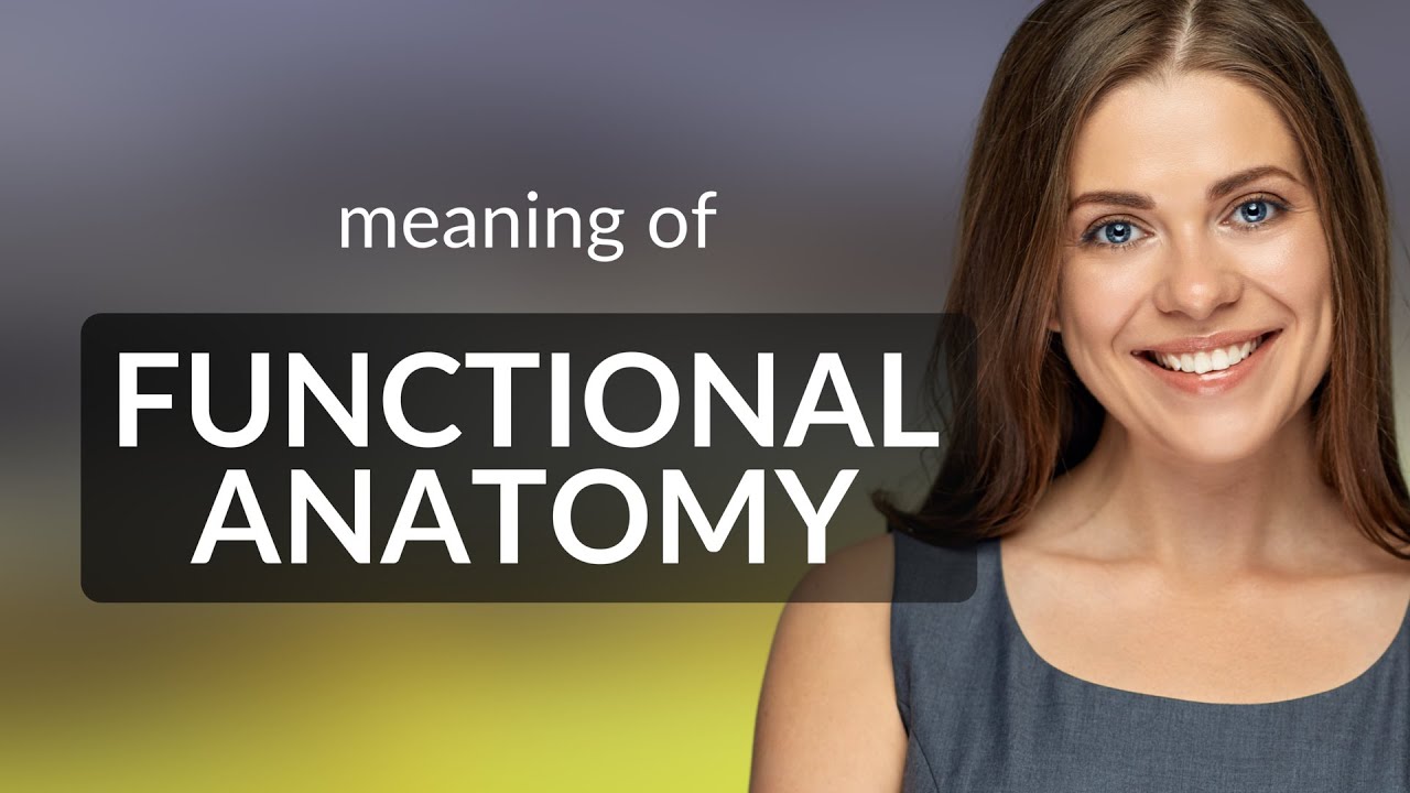 Functional anatomy | what is FUNCTIONAL ANATOMY meaning - YouTube Functional anatomy | what is FUNCTIONAL ANATOMY meaning - YouTube